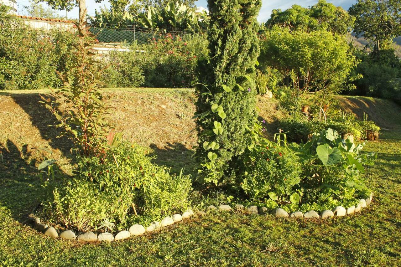 Rochas Shared Apart Garden Refuge Apartment Funchal  Exterior photo