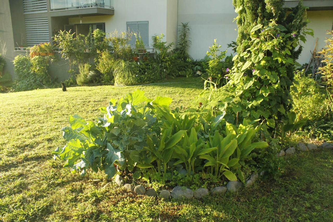 Rochas Shared Apart Garden Refuge Apartment Funchal  Exterior photo