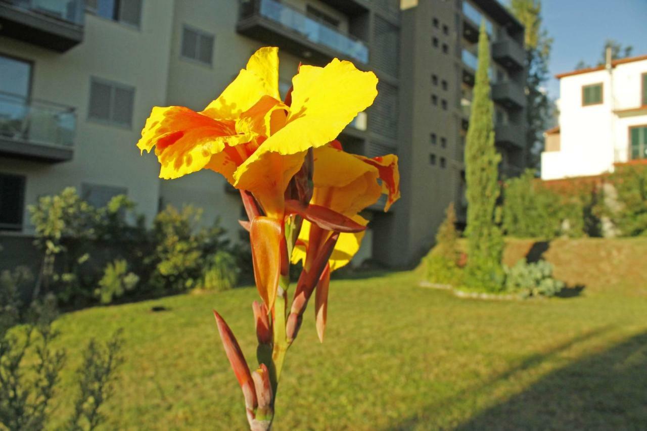 Rochas Shared Apart Garden Refuge Apartment Funchal  Exterior photo